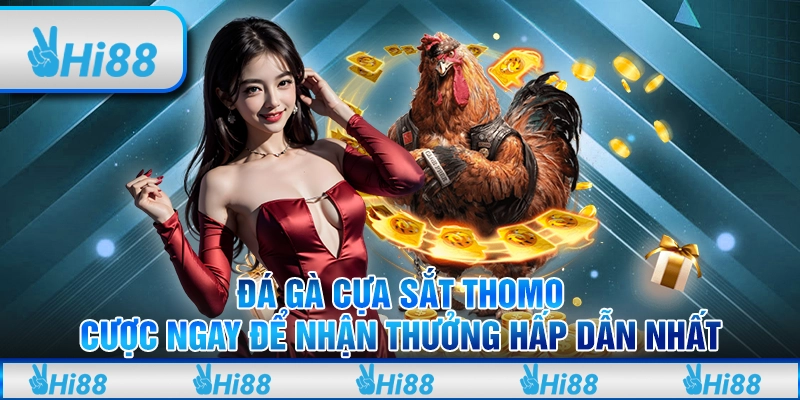 Đá gà cựa sắt Thomo: Cược ngay để nhận thưởng hấp dẫn nhất