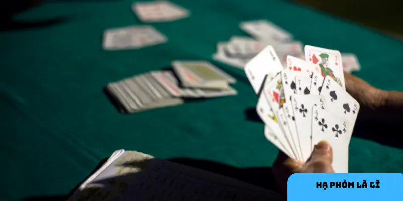 Hạ phỏm phổ biến vì tính giải trí cao.