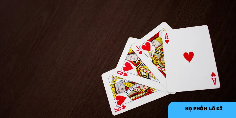 Quan sát đối thủ giúp bạn tránh bị ăn bài.