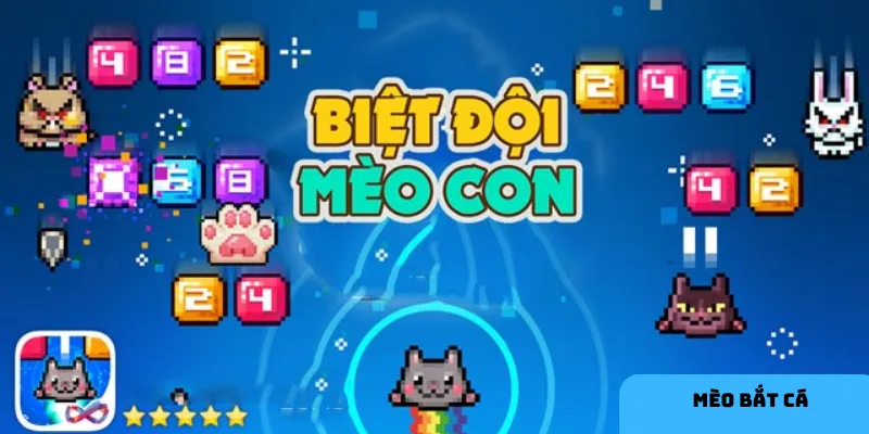 Chiến thuật bắt cá giá trị cao để tối ưu điểm