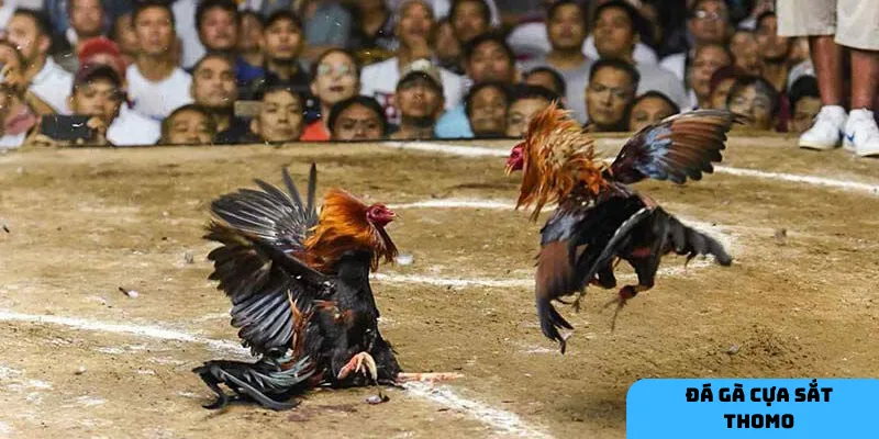 Một chiến thuật rõ ràng và sự kiên nhẫn sẽ giúp bạn tối ưu hóa cơ hội thắng