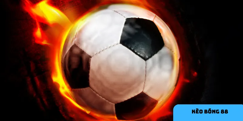 Nghiên cứu kỹ thông tin trận đấu giúp tăng cơ hội thắng.