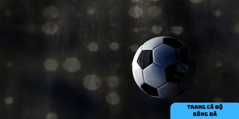 Hướng dẫn lựa chọn trang cá độ bóng đá uy tín