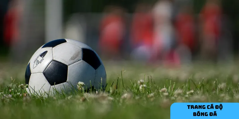 Ưu điểm khi tham gia cá độ tại trang uy tín