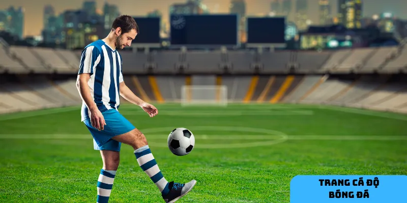 Một trang cá độ uy tín luôn đảm bảo tính minh bạch và an toàn cho người chơi