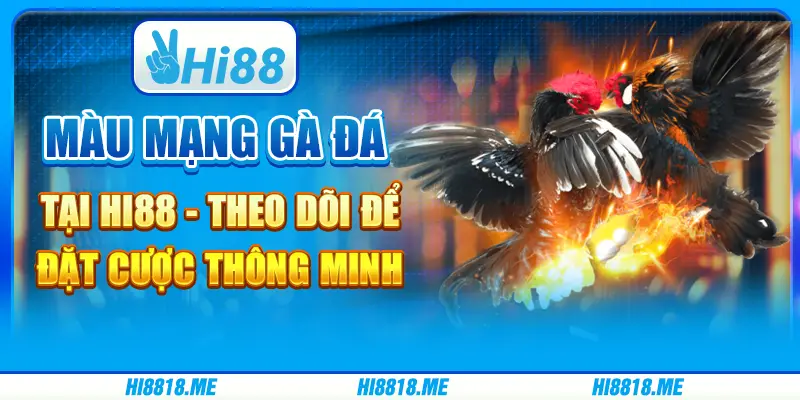 Màu mạng gà đá tại Hi88 - Theo dõi để đặt cược thông minh