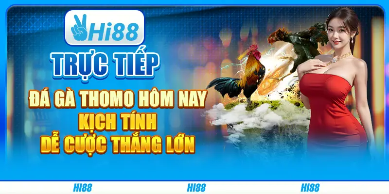 Trực tiếp đá gà Thomo hôm nay, kịch tính, dễ cược thắng lớn