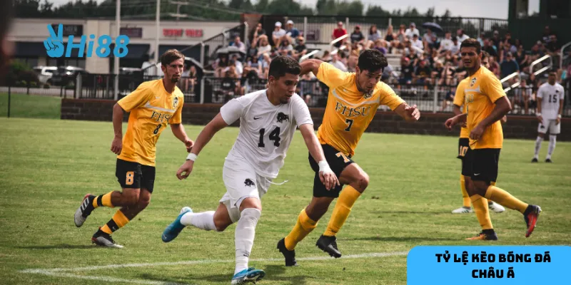 Thông tin chi tiết là cơ sở quan trọng để phân tích kèo châu Á hiệu quả.