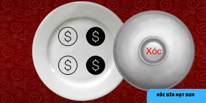 Theo dõi kết quả để nhận diện xu hướng.