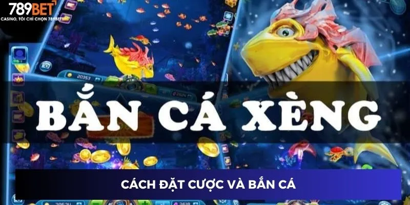 Cách đặt cược và bắn cá
