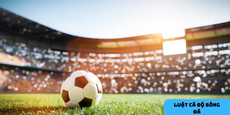 Hiểu rõ luật chơi giúp bạn cá cược một cách tự tin và an toàn.