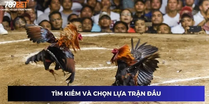 Tìm kiếm và chọn lựa trận đấu