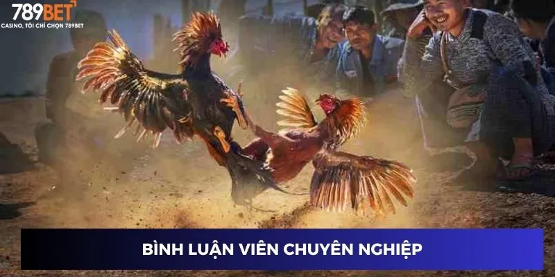Bình luận viên chuyên nghiệp
