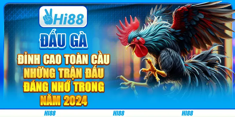 Đấu gà đỉnh cao toàn cầu: Những trận đấu đáng nhớ trong năm 2024