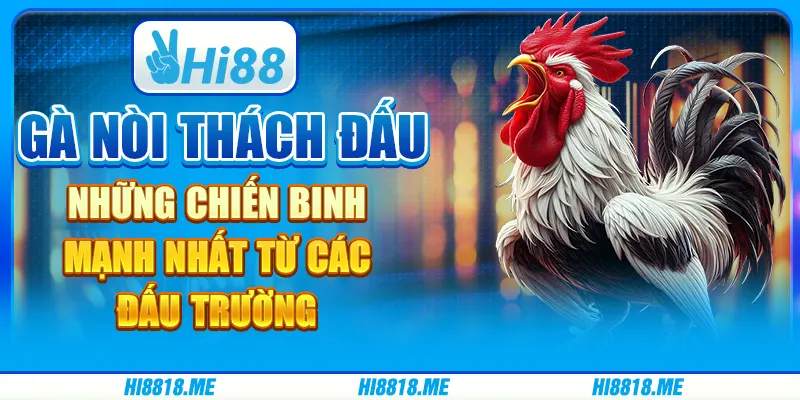 Gà nòi thách đấu: những chiến binh mạnh nhất từ các đấu trường