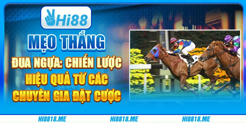 Mẹo thắng đua ngựa: Chiến lược hiệu quả từ các chuyên gia đặt cược