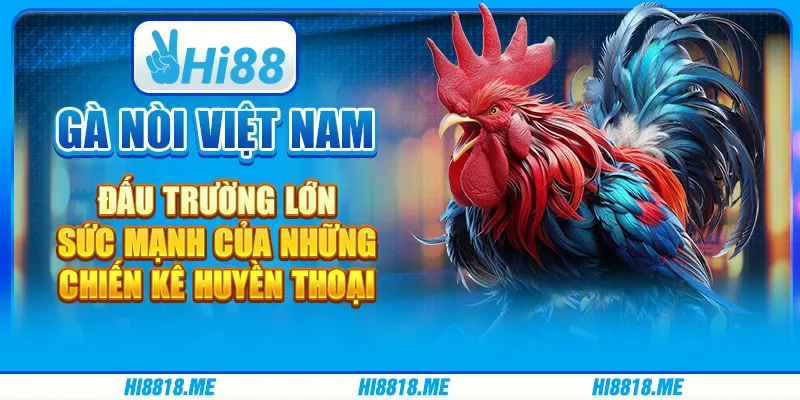 Gà nòi Việt Nam đấu trường lớn: sức mạnh của những chiến kê huyền thoại