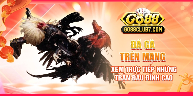 da-ga-tren-mang-xem-truc-tiep-nhung-tran-dau-dinh-cao