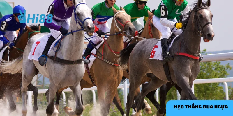 Chọn kèo phù hợp giúp giảm thiểu rủi ro.