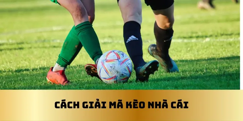 Các cách giải mã kèo nhà cái