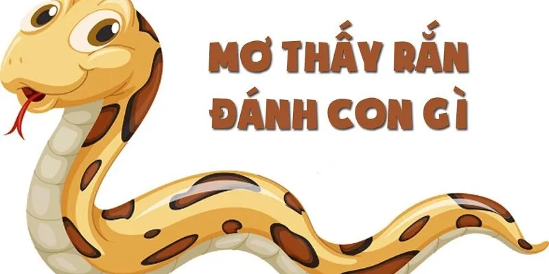 Kết hợp con số