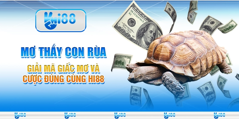 Mơ Thấy Con Rùa – Giải Mã Giấc Mơ và Cược Đúng Cùng Hi88