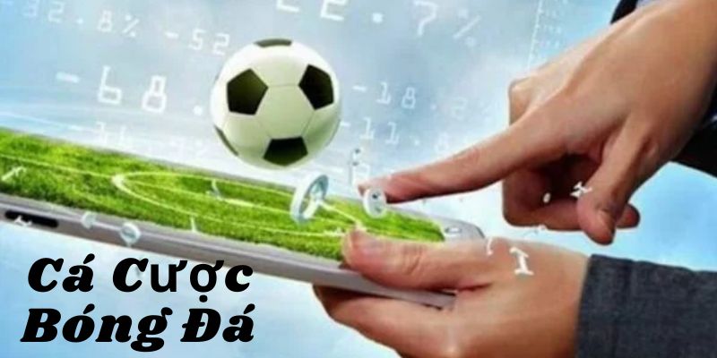 Những lưu ý đặc biệt khi tham gia chơi cá cược