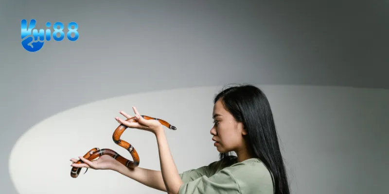 Giải đáp các tình huống nằm mơ thấy rắn